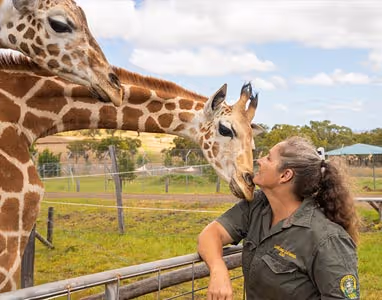 Image of a woman with a Giraffe at a park.